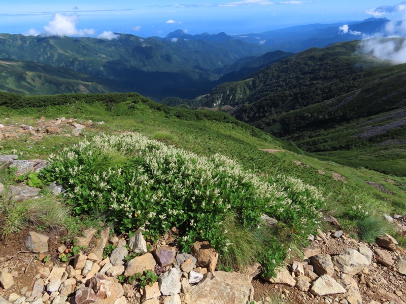 白馬岳、白馬三山