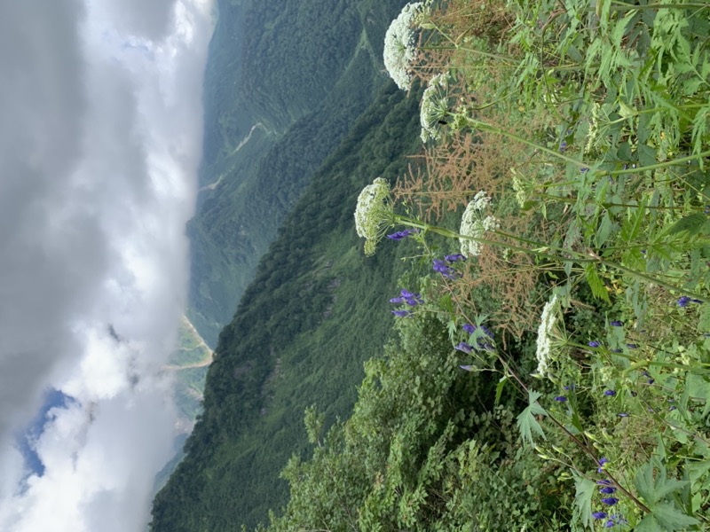 白馬岳、白馬三山