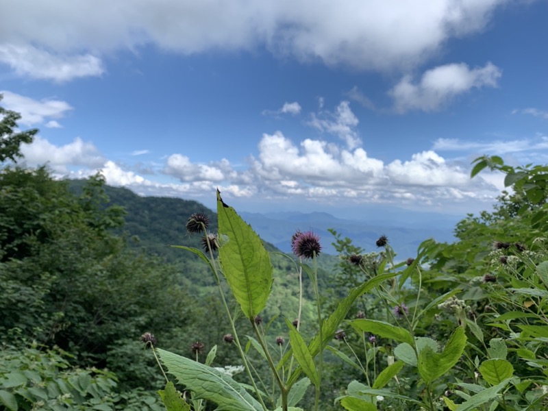 白馬岳、白馬三山