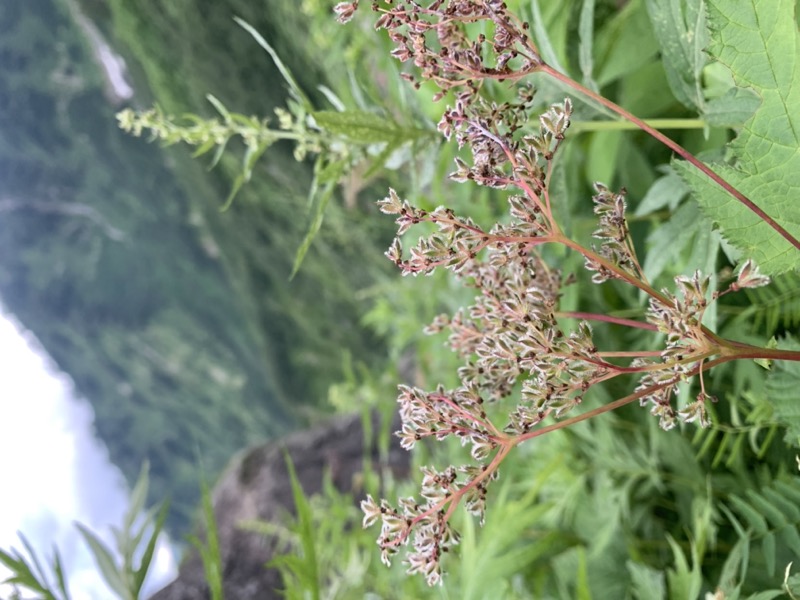 白馬岳、白馬三山