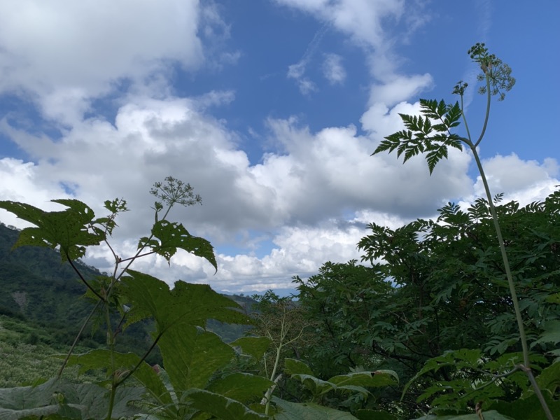 白馬岳、白馬三山