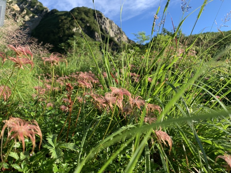 白馬岳、白馬三山