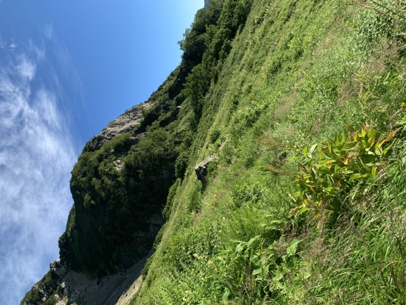 白馬岳、白馬三山
