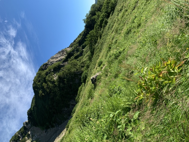 白馬岳、白馬三山