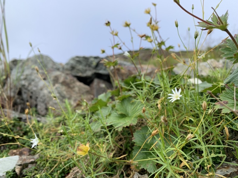 白馬岳、白馬三山