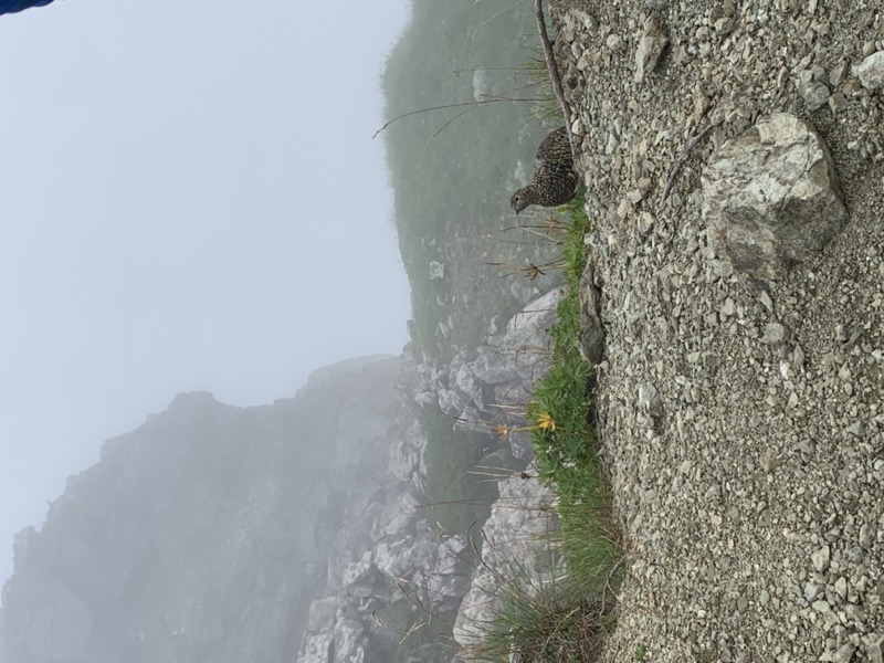 白馬岳、白馬三山