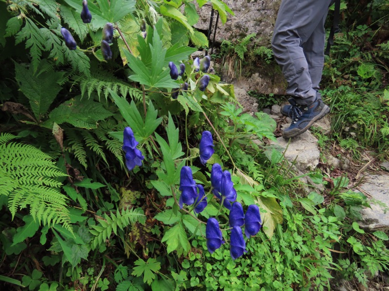 白馬岳、白馬三山