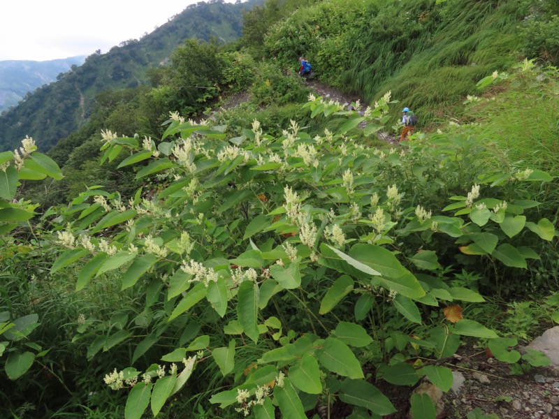 白馬岳、白馬三山