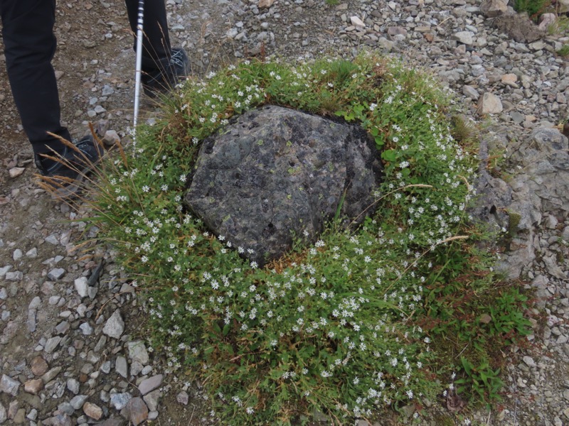 白馬岳、白馬三山