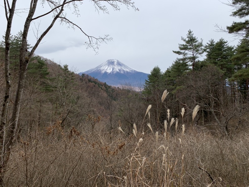 杓子山