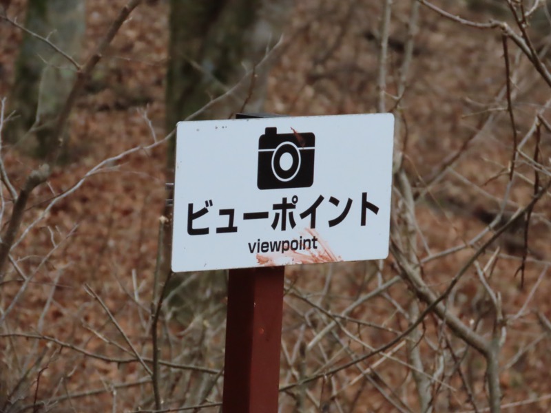 杓子山