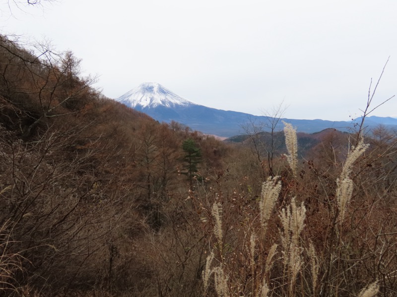 杓子山