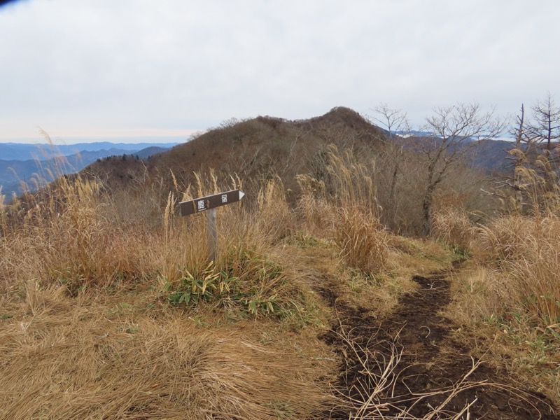 杓子山