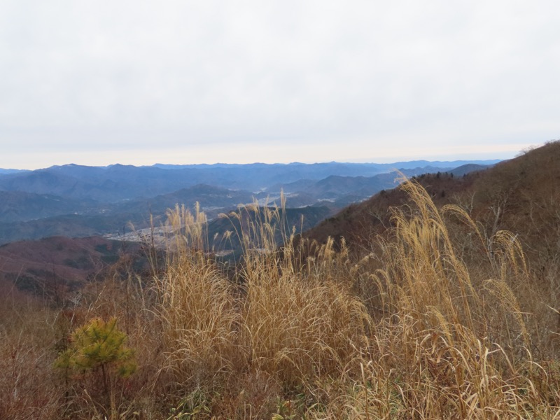 杓子山