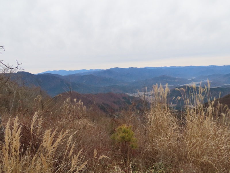 杓子山