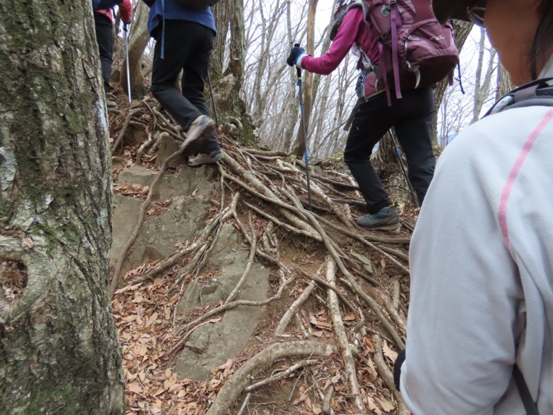 杓子山