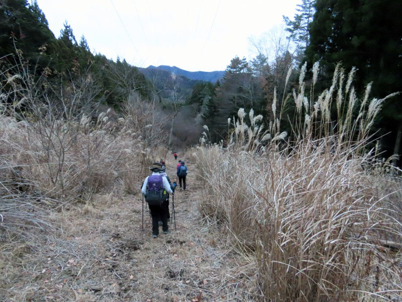 杓子山