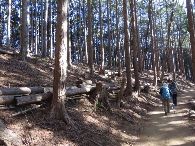 陣馬山