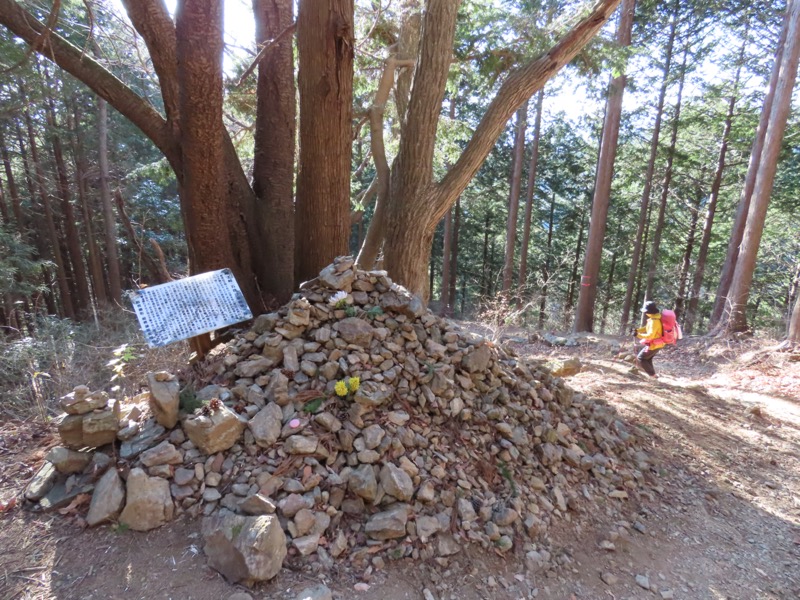 陣馬山