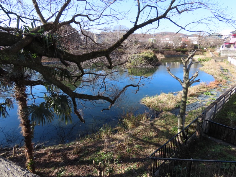 渋沢丘陵