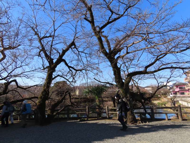 渋沢丘陵