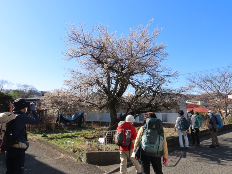 渋沢丘陵