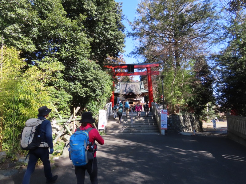 渋沢丘陵