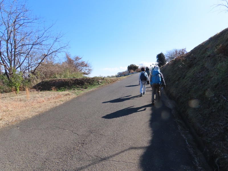 渋沢丘陵