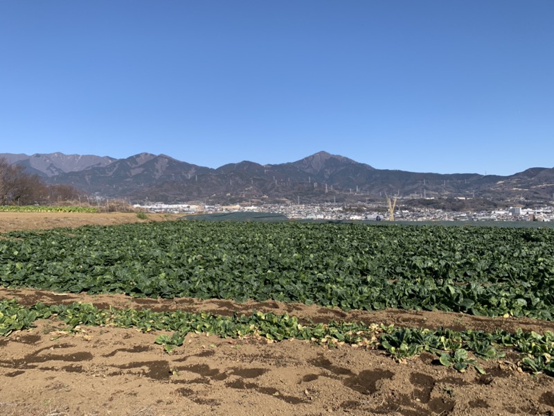 渋沢丘陵