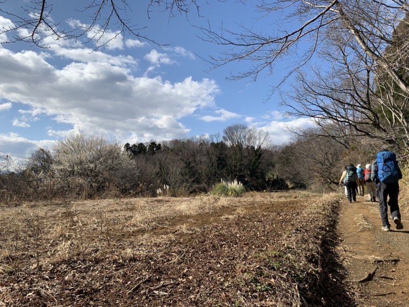 渋沢丘陵