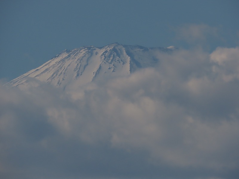 渋沢丘陵