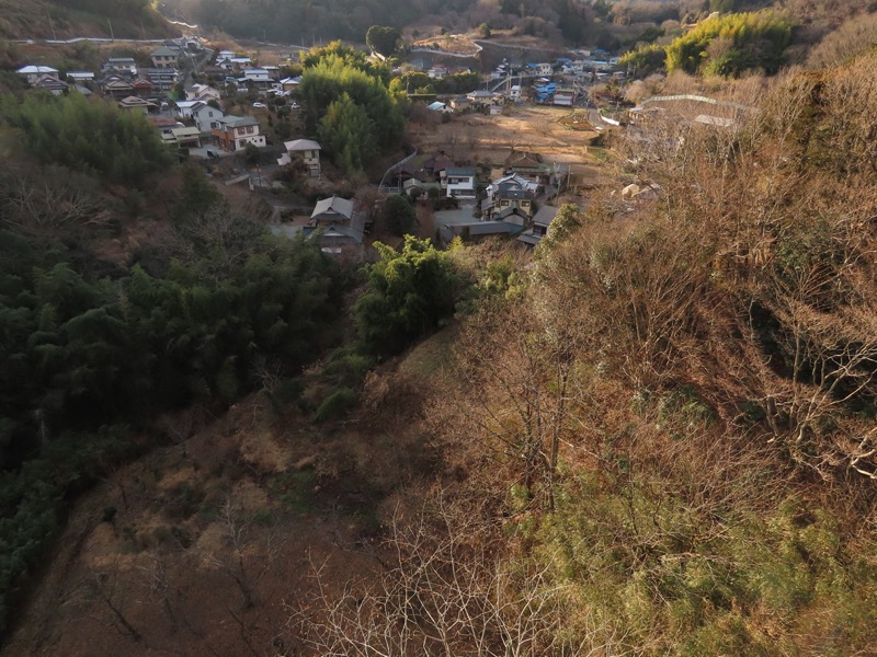 渋沢丘陵