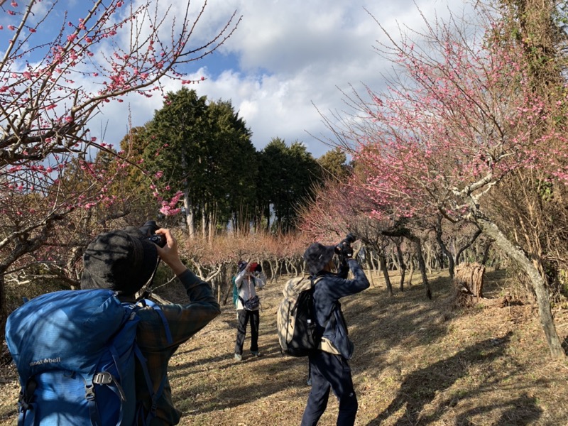 渋沢丘陵