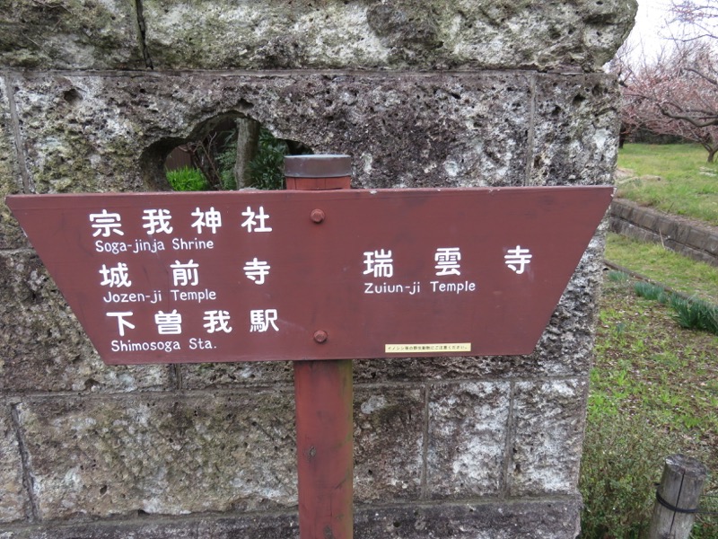曽我丘陵、曽我梅林