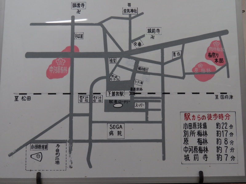曽我丘陵、曽我梅林