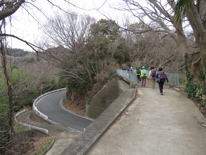 曽我丘陵ウォーキングコースと曽我梅林、上ノ山農道と車道