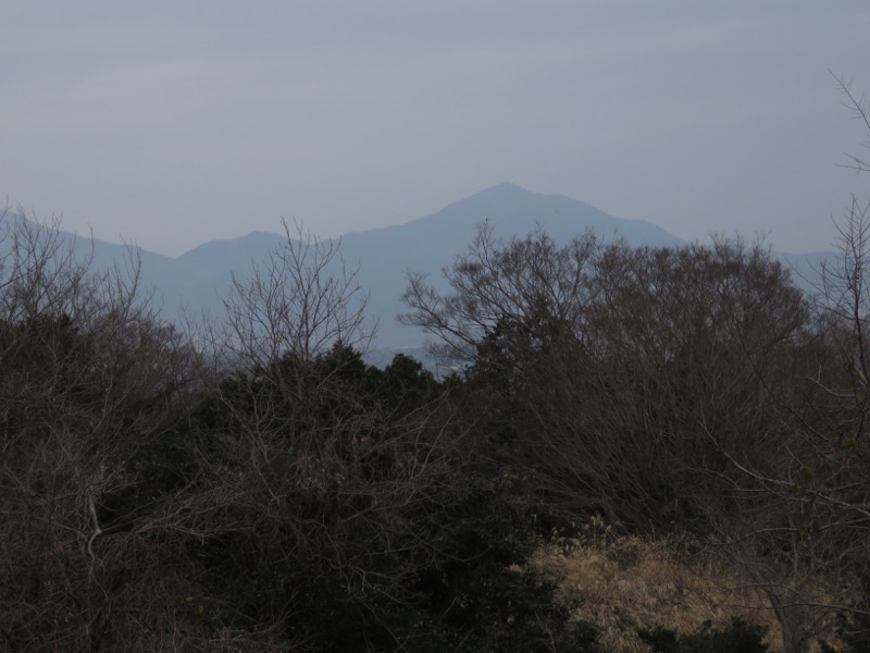 曽我丘陵ウォーキングコースと曽我梅林、西山農道、丹沢・大山