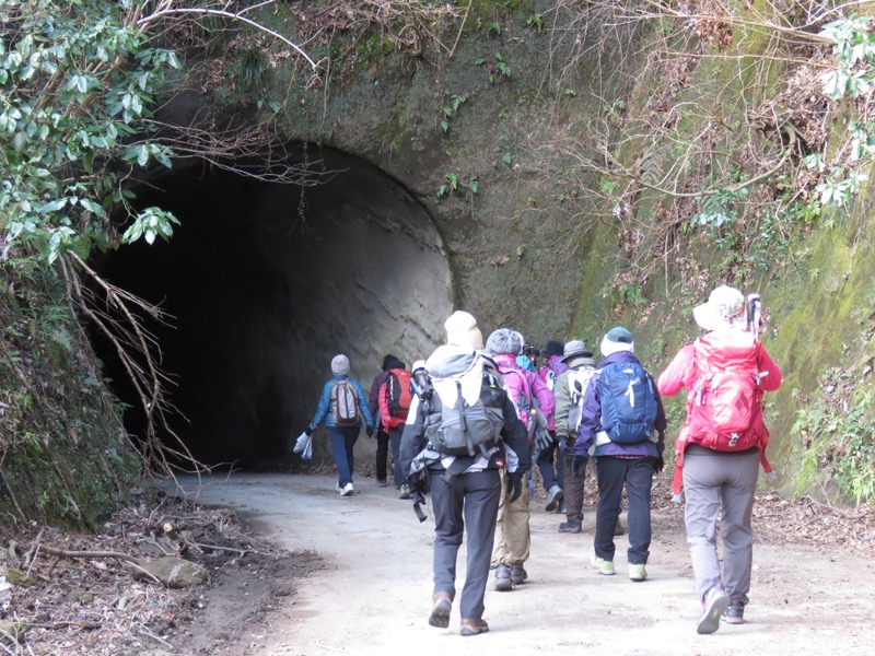 高宕山、三島神社→高宕山、怒田沢林道、高宕林道、怒田沢トンネル