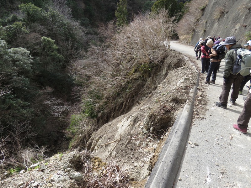 高宕山、三島神社→高宕山、怒田沢林道、高宕林道