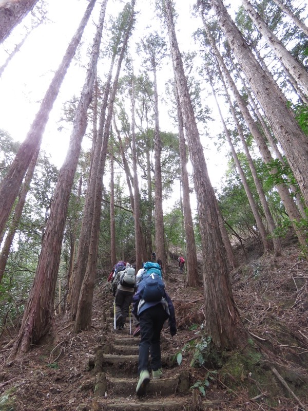 高宕山、高宕大滝→高宕山