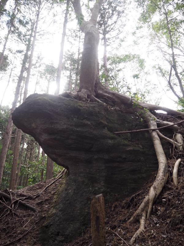 高宕山、高宕大滝→高宕山、蛙石