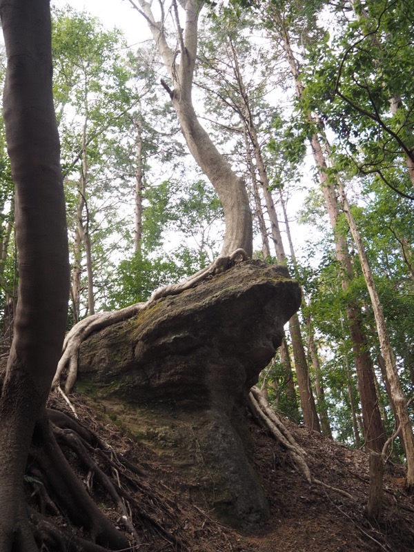 高宕山、高宕大滝→高宕山、蛙石