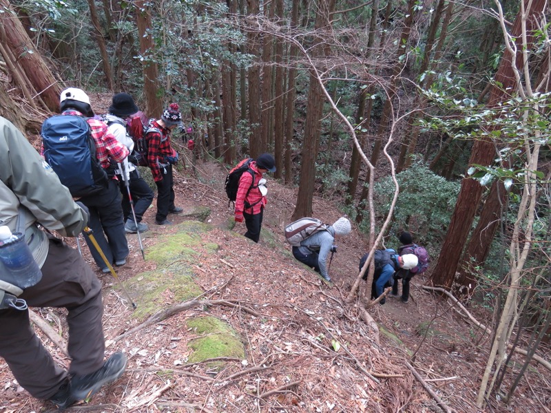 高宕山、高宕大滝→高宕山、人工林