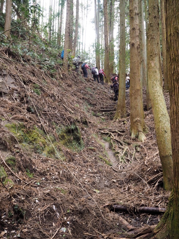 高宕山、高宕大滝→高宕山、人工林