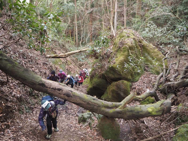 高宕山、高宕大滝→高宕山