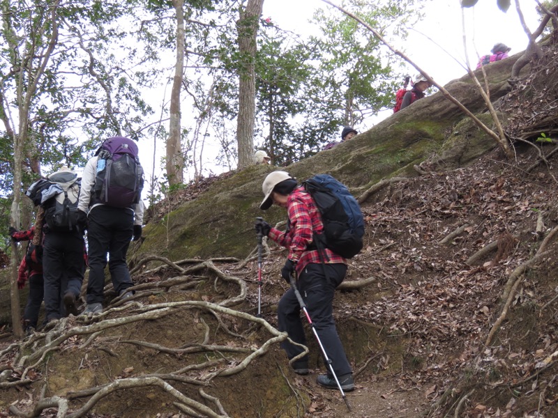 高宕山、山頂下分岐→高宕山