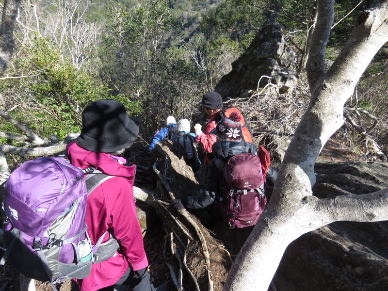 高宕山、高宕山→奥畑バス停、山頂直下