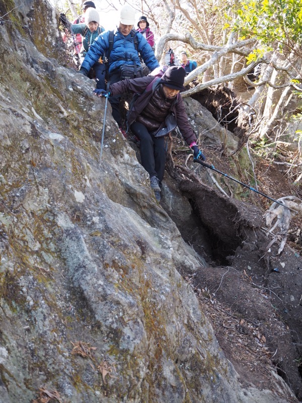 高宕山、高宕山→奥畑バス停、山頂直下