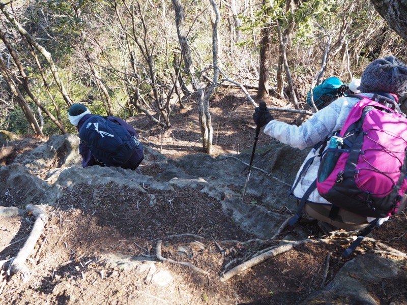 高宕山、高宕山→奥畑バス停、山頂直下