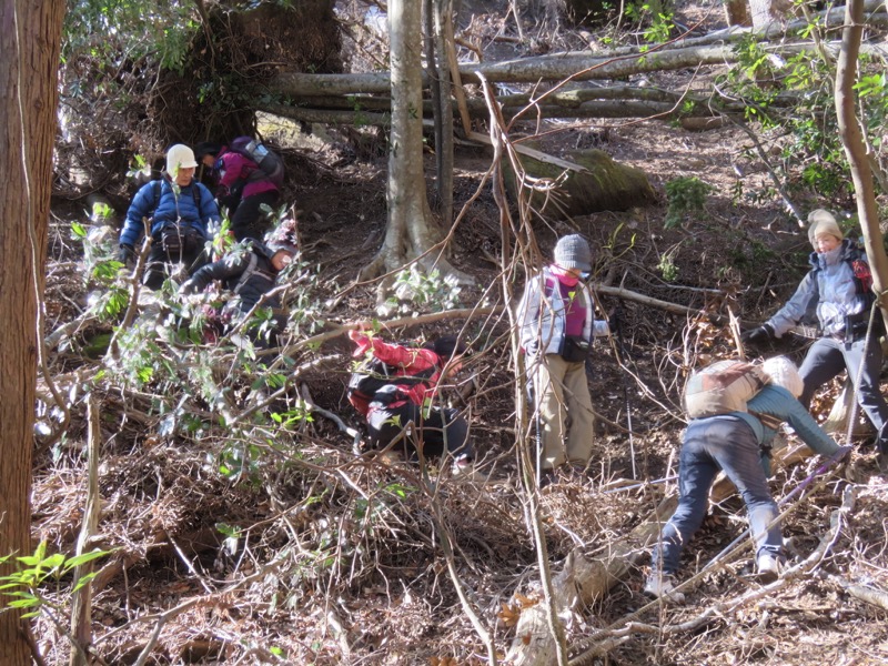 高宕山、高宕山→奥畑バス停、山頂直下